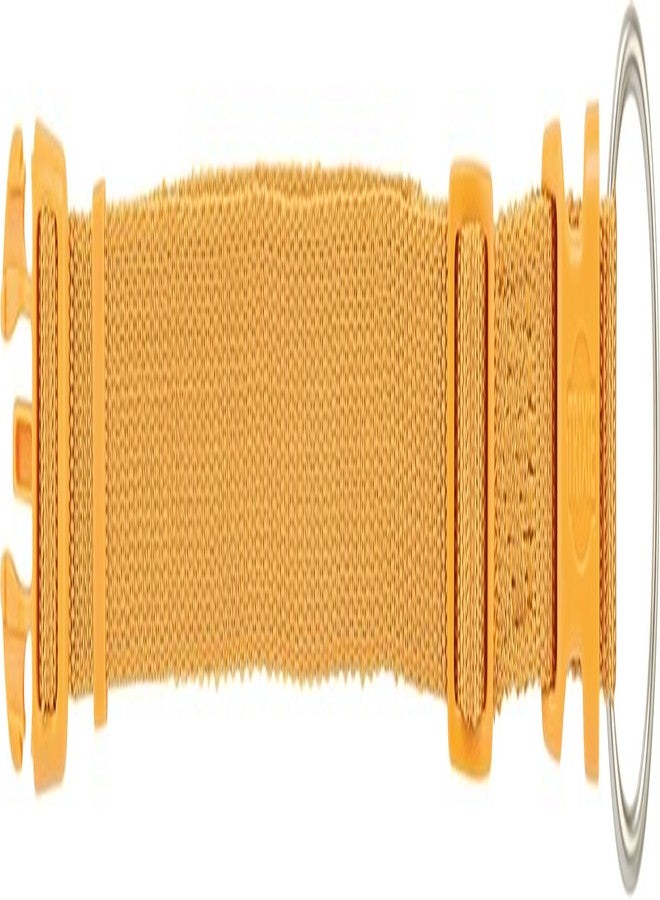 تريكسي طوق تريكسي المميز - طوق كلاب من النايلون قابل للتعديل ومتين، مريح، مزود بإبزيم قوي، خفيف الوزن وأنيق، مناسب للسلالات الصغيرة والجراء بمقاس XS-S (كاري) - Image 2